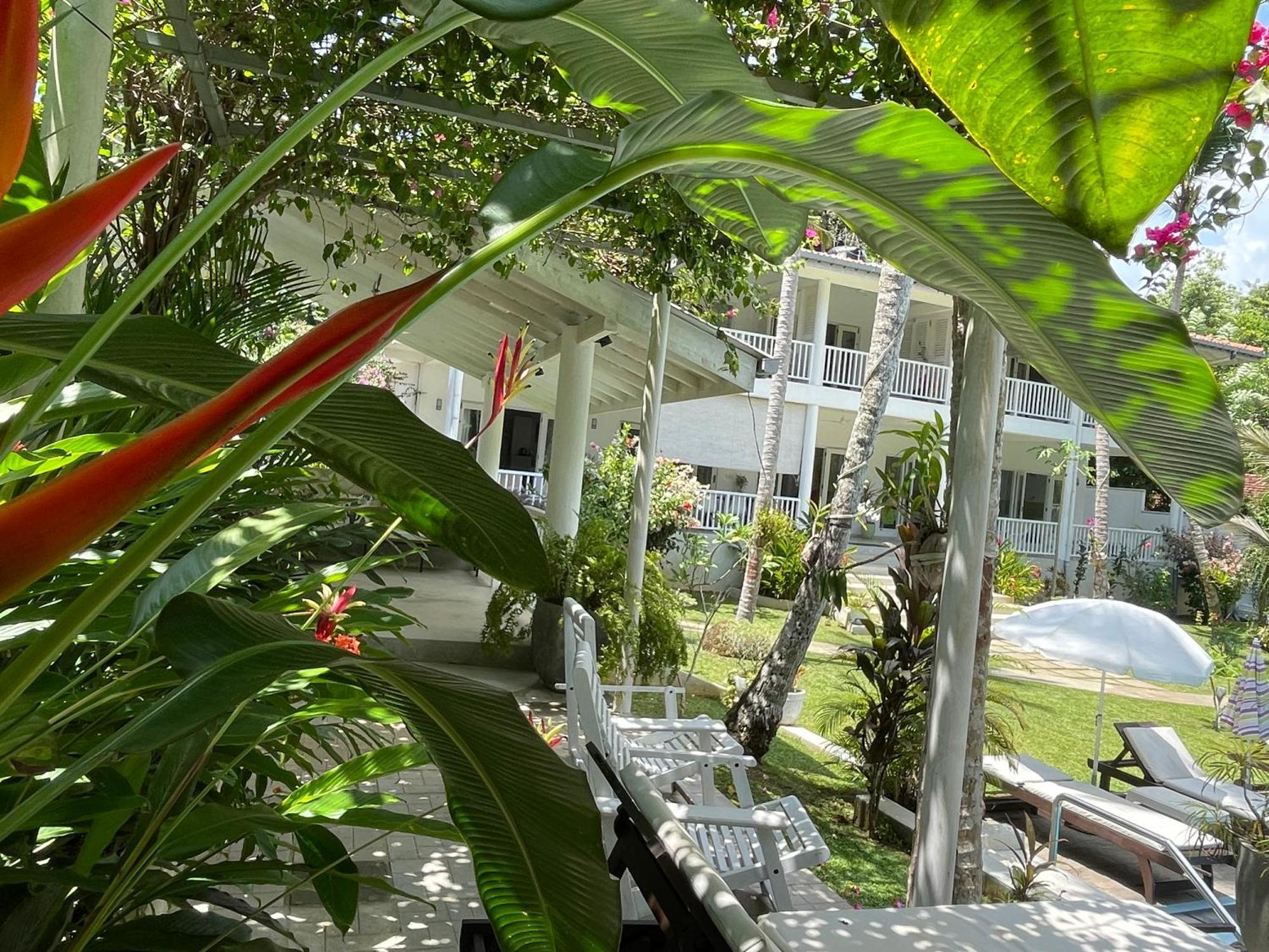 Plantation House Otel Hikkaduwa Dış mekan fotoğraf