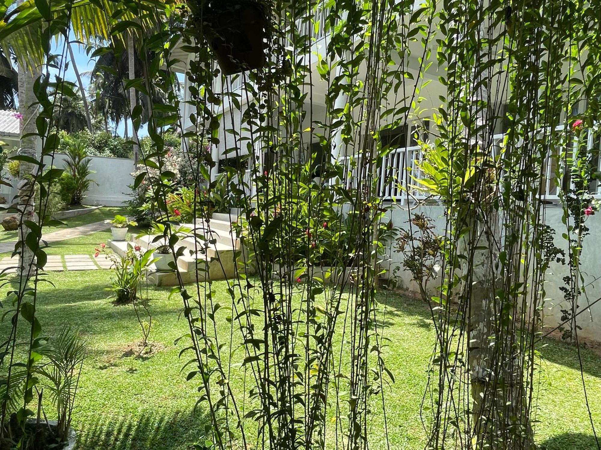 Plantation House Otel Hikkaduwa Dış mekan fotoğraf
